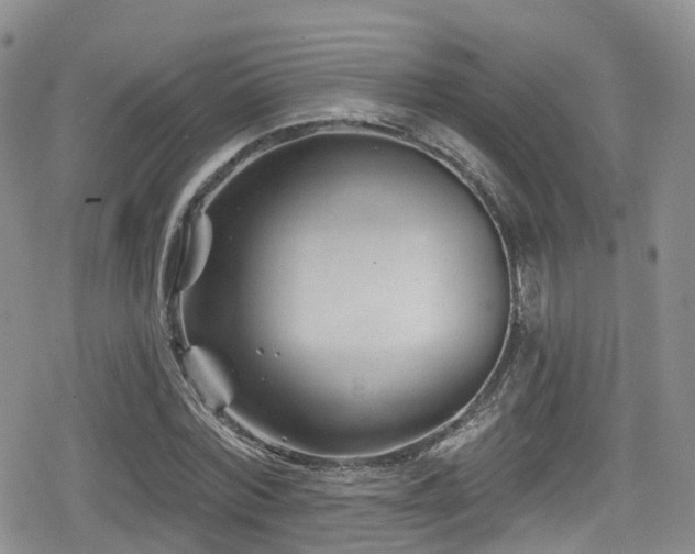 X0000080200780200612081426