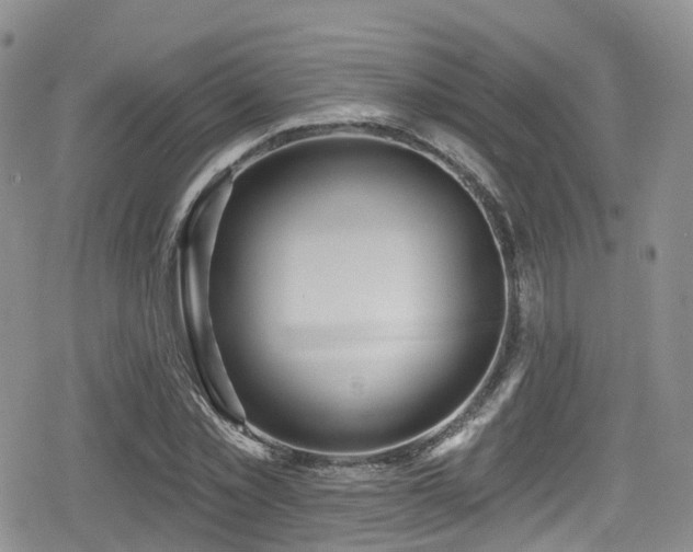 X0000080200781200612081426