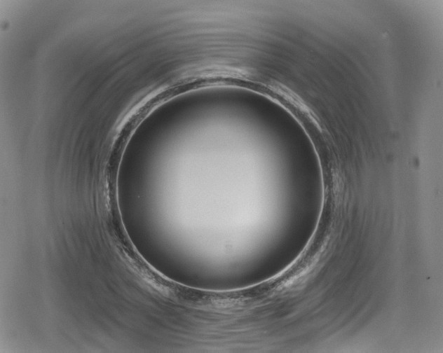 X0000080200782200612081426