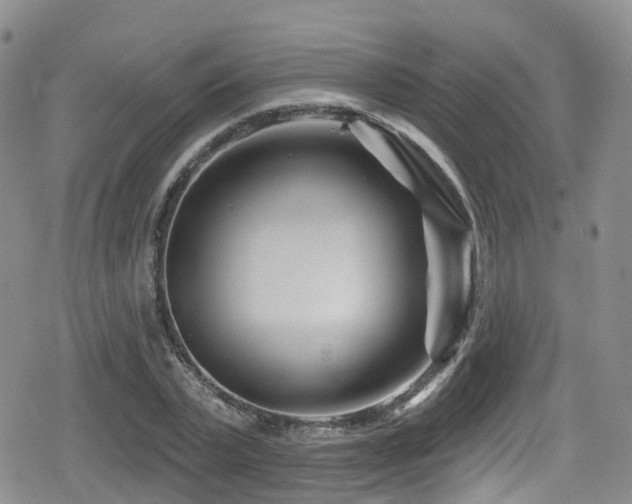 X0000080200783200612081426