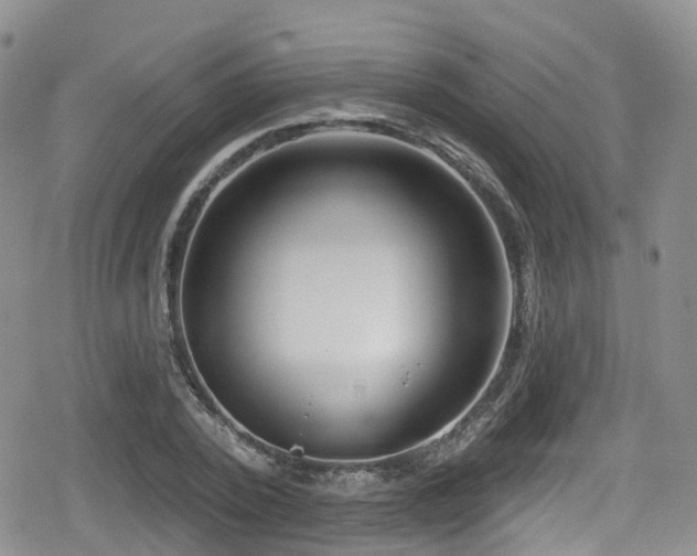 X0000080200784200612081426