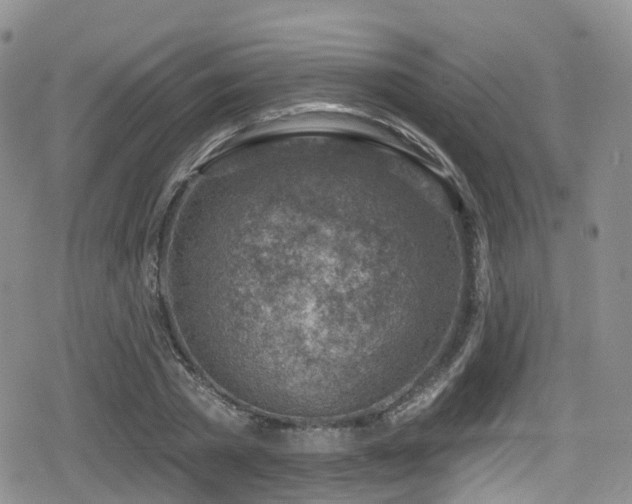 X0000080200785200612081426