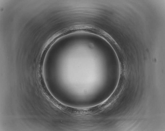 X0000080200786200612081426