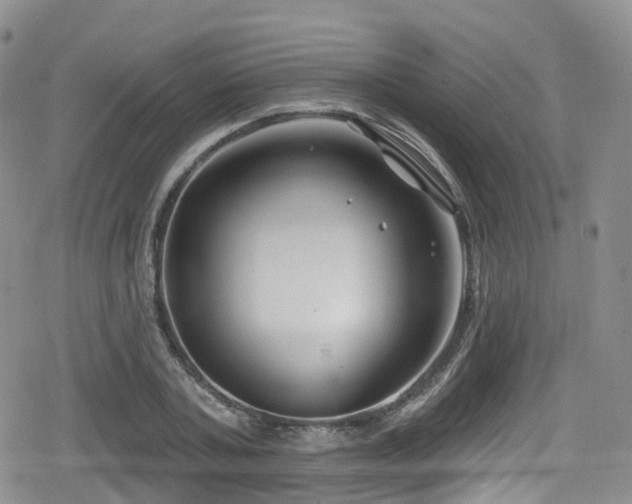 X0000080200787200612081426