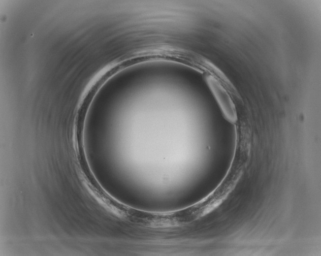 X0000080200788200612081426