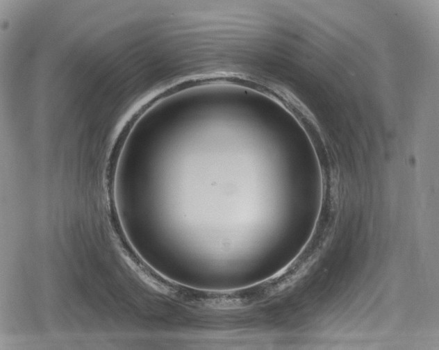 X0000080200789200612081426