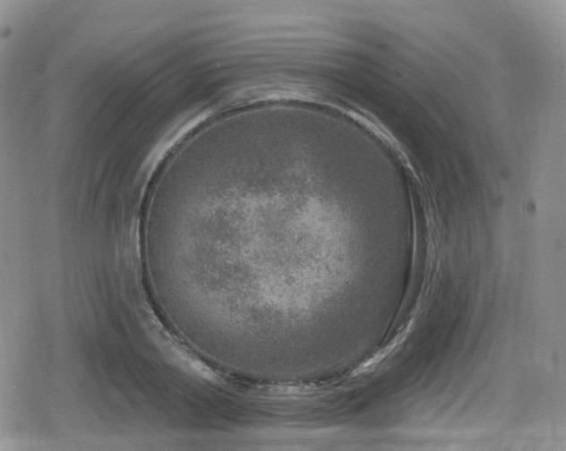 X0000080200790200612081426