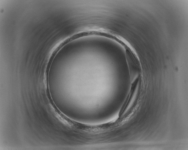 X0000080200791200612081426