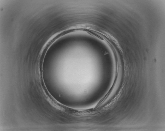 X0000080200792200612081426