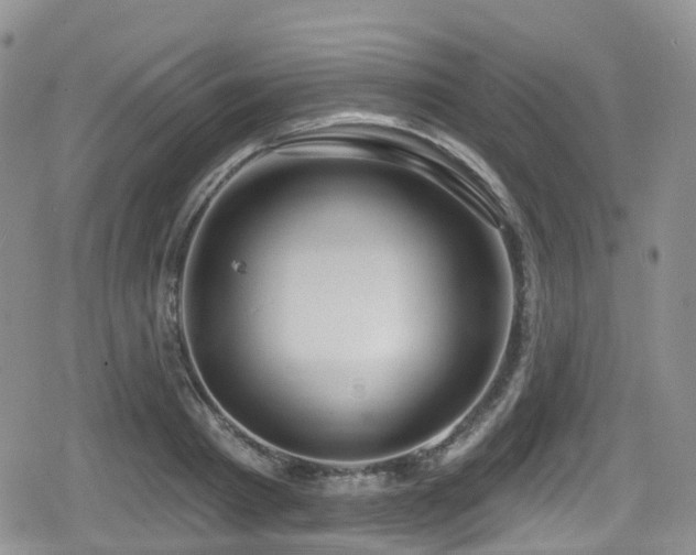 X0000080200793200612081426