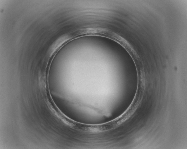 X0000080200794200612081426