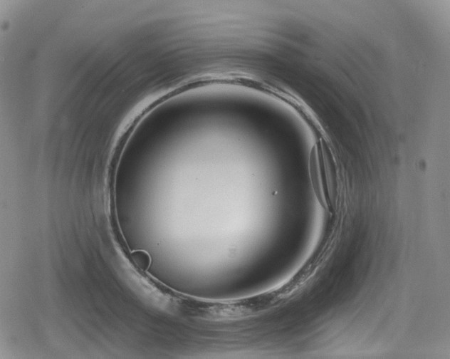 X0000080200795200612081426