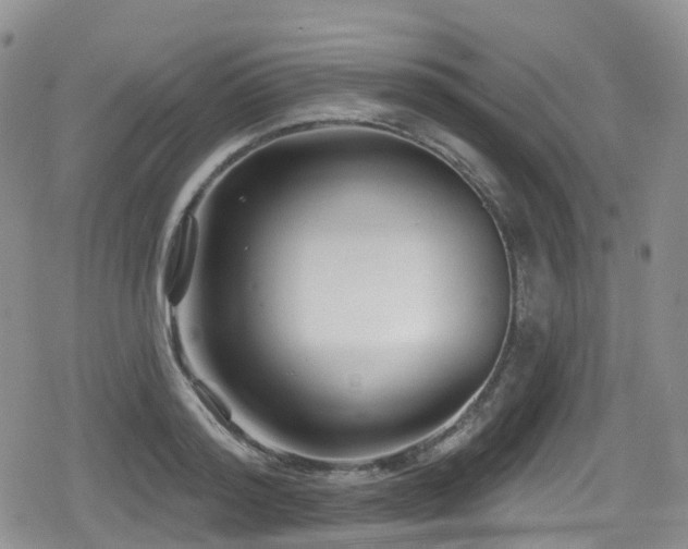 X0000080200796200612081426