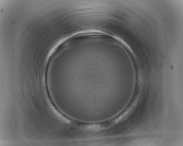 X0000080200797200612081426