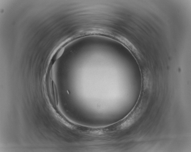 X0000080200798200612081426