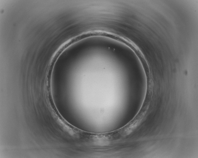 X0000080200799200612081426