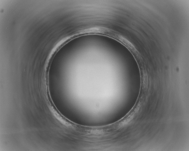 X0000080200800200612081426