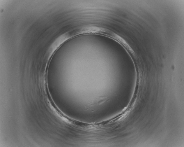 X0000080200802200612081426