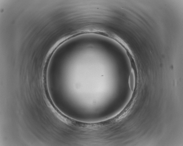 X0000080200803200612081426