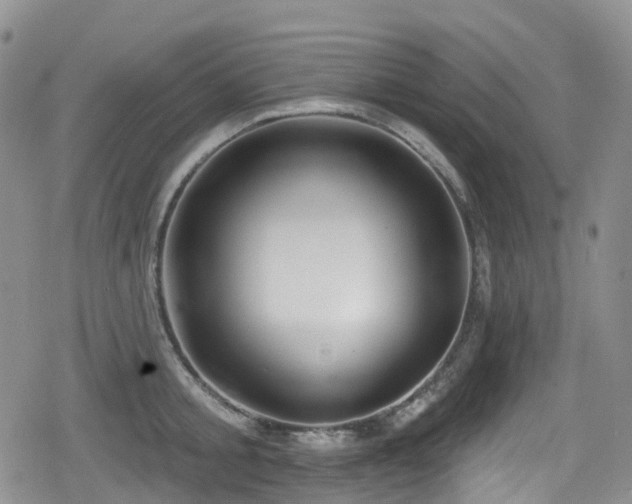 X0000080200805200612081426