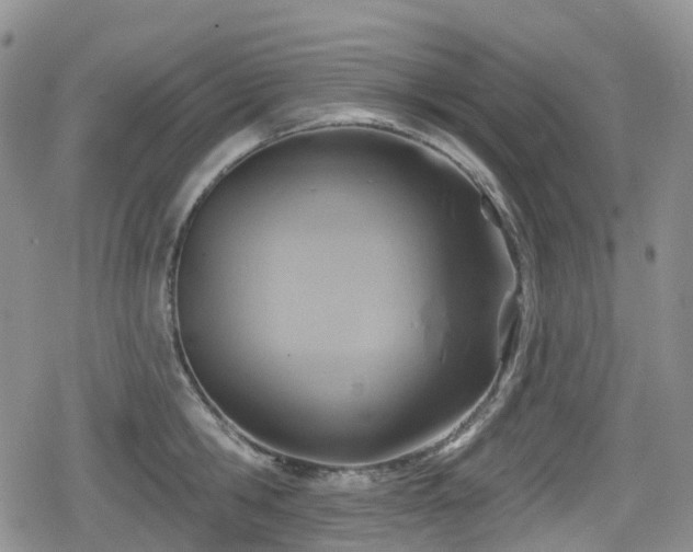 X0000080200806200612081426