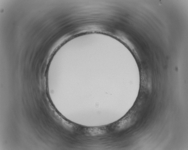 X0000080200807200612081426