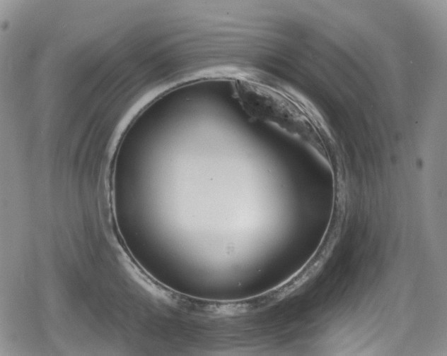 X0000080200808200612081426