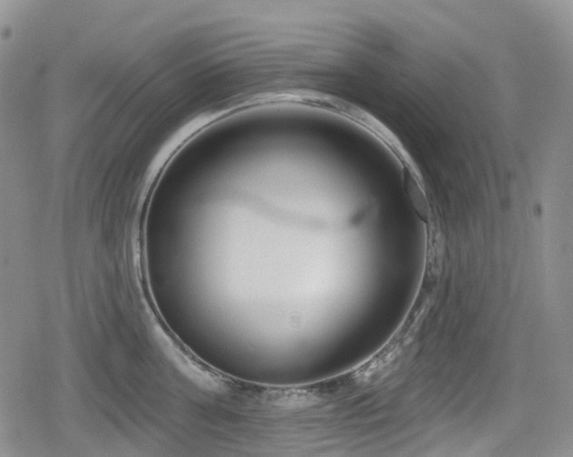 X0000080200811200612081426