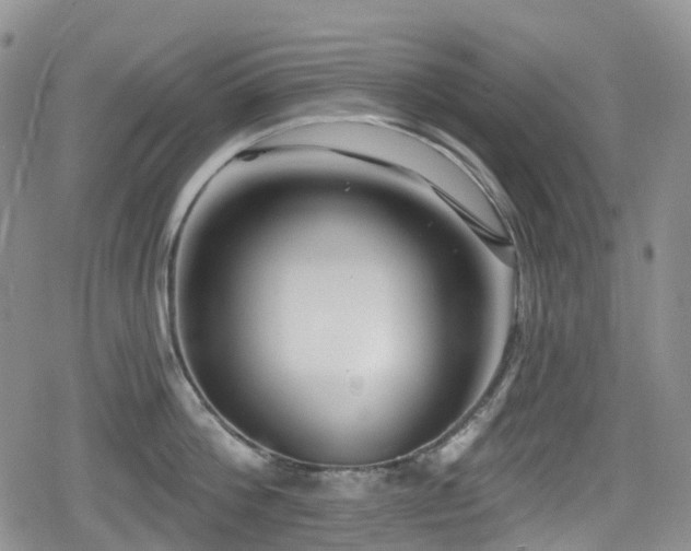 X0000080200812200612081426