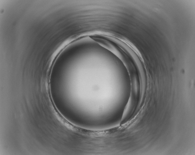 X0000080200813200612081426