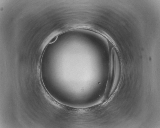 X0000080200814200612081426