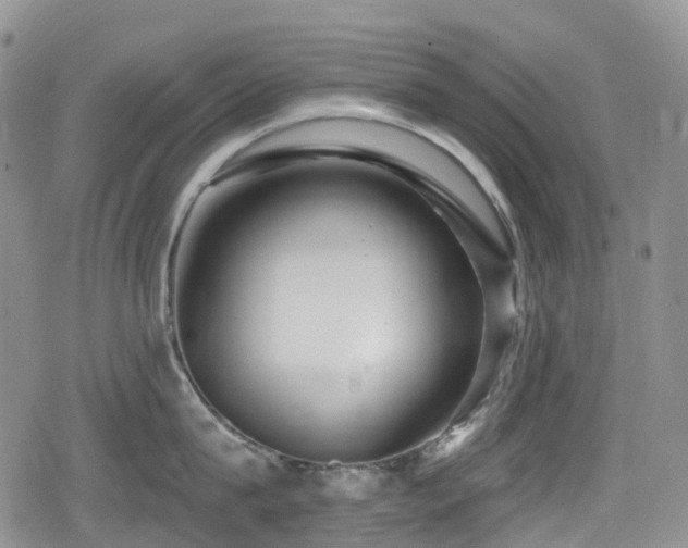 X0000080200815200612081426