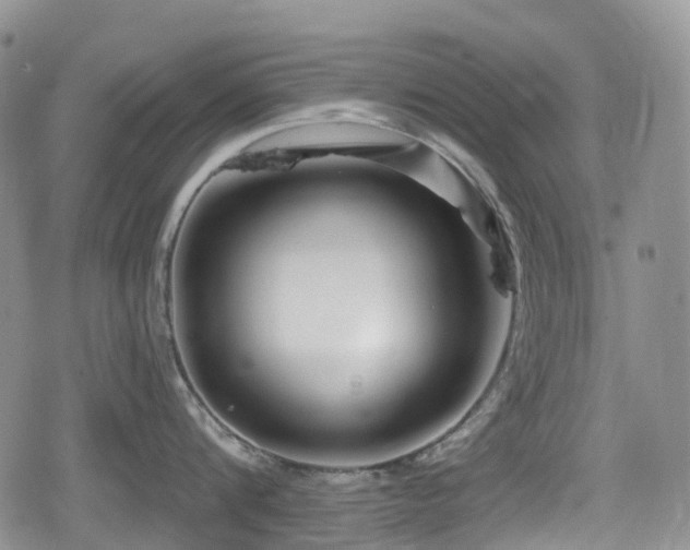 X0000080200816200612081426