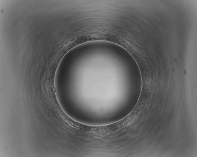 X0000080200817200612081425