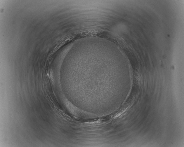 X0000080200818200612081425