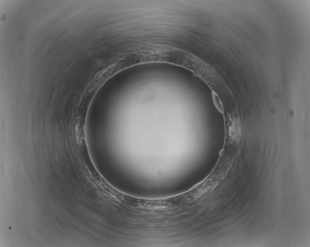 X0000080200819200612081425