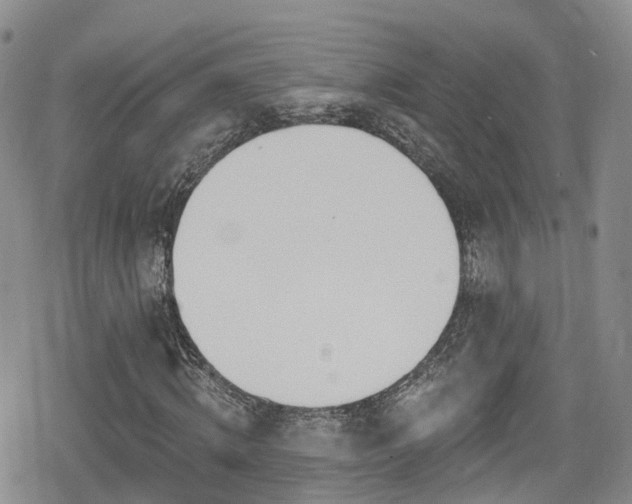 X0000080200820200612081425