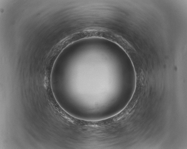 X0000080200821200612081425