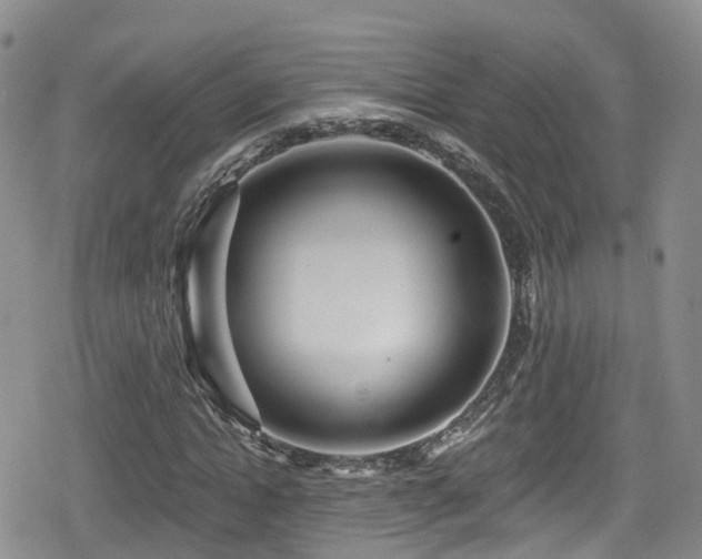 X0000080200822200612081425