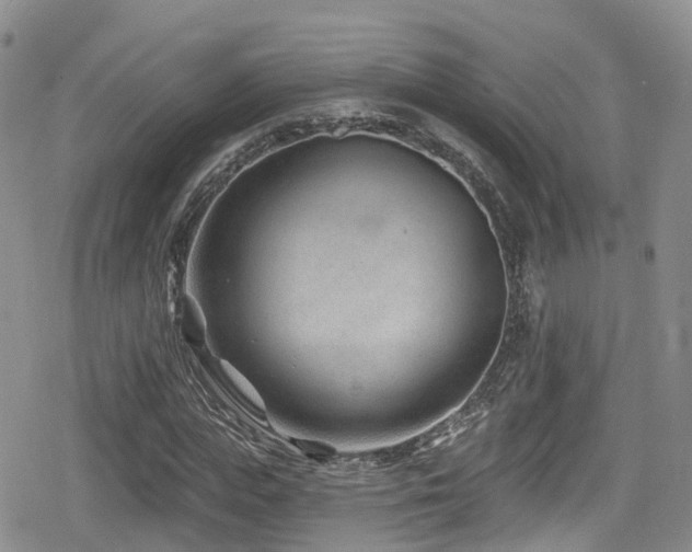 X0000080200823200612081425