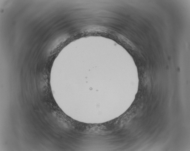 X0000080200824200612081425