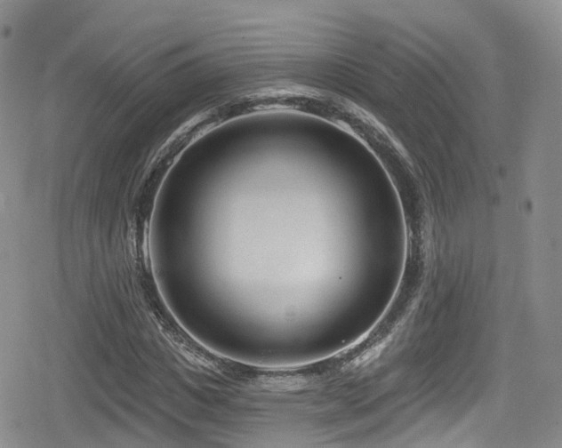 X0000080200825200612081425