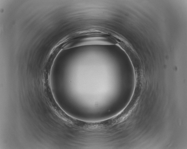 X0000080200826200612081425