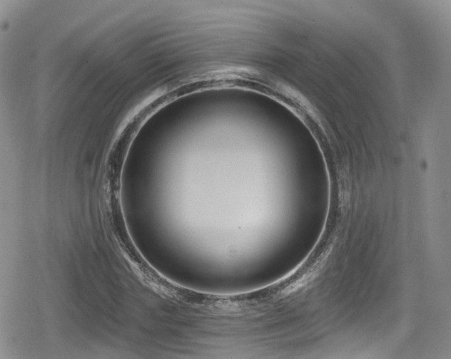 X0000080200827200612081425