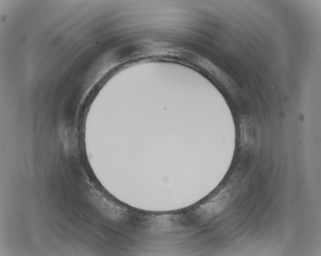 X0000080200828200612081425