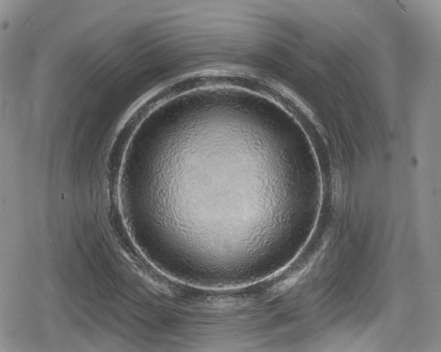 X0000080200829200612081425