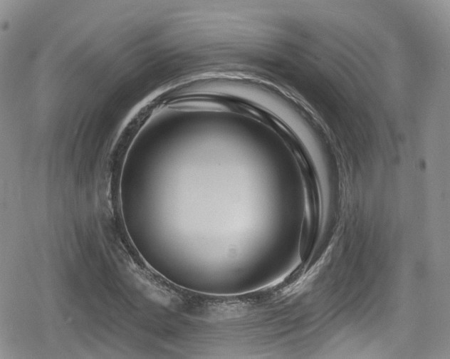 X0000080200830200612081425