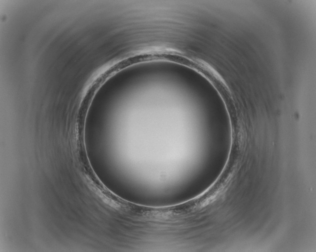 X0000080200831200612081425