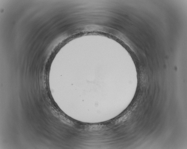 X0000080200832200612081425