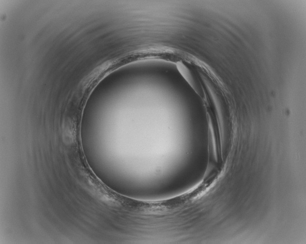 X0000080200833200612081425